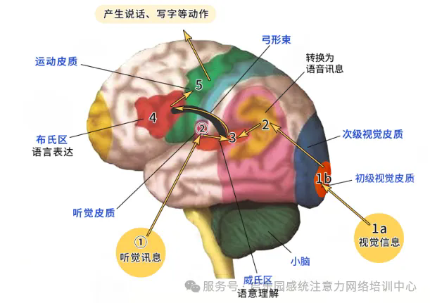 1742616935292659.png 640.webp (1).png